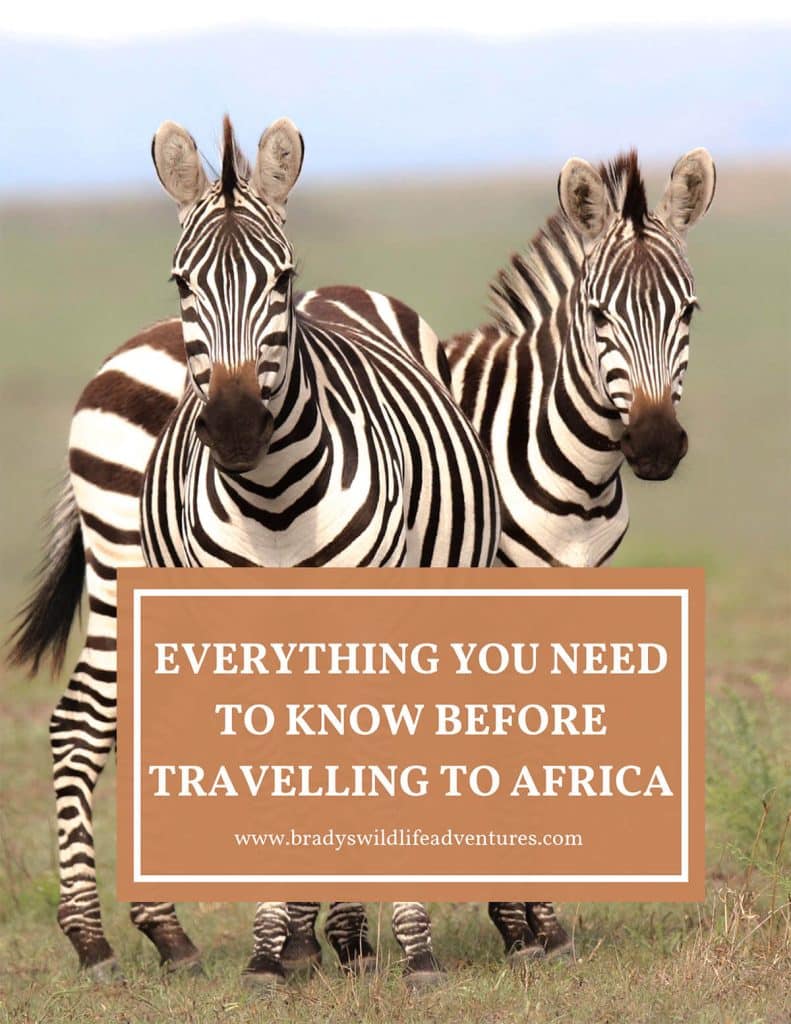 Luxury African Safari Tours